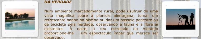 NA HERDADE  Num ambiente marcadamente rural, pode usufruir de uma vista magnfica sobre a plancie alentejana, tomar um refrescante banho na piscina ou dar um passeio pedestre ou de bicicleta pela herdade, observando a fauna e a flora a existentes.  noite, o cu estrelado do Alentejo proporciona-lhe   um espectculo mpar que merece ser observado.